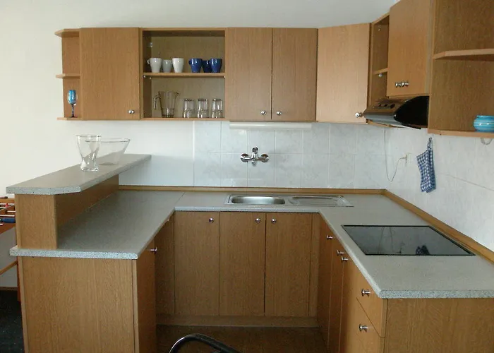 House Smetanek